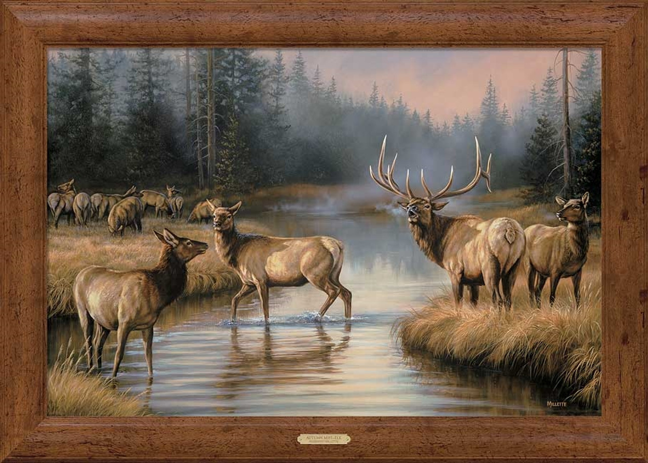 Autumn Mist Elk Framed Gallery Canvas Print by Rosemary Millette