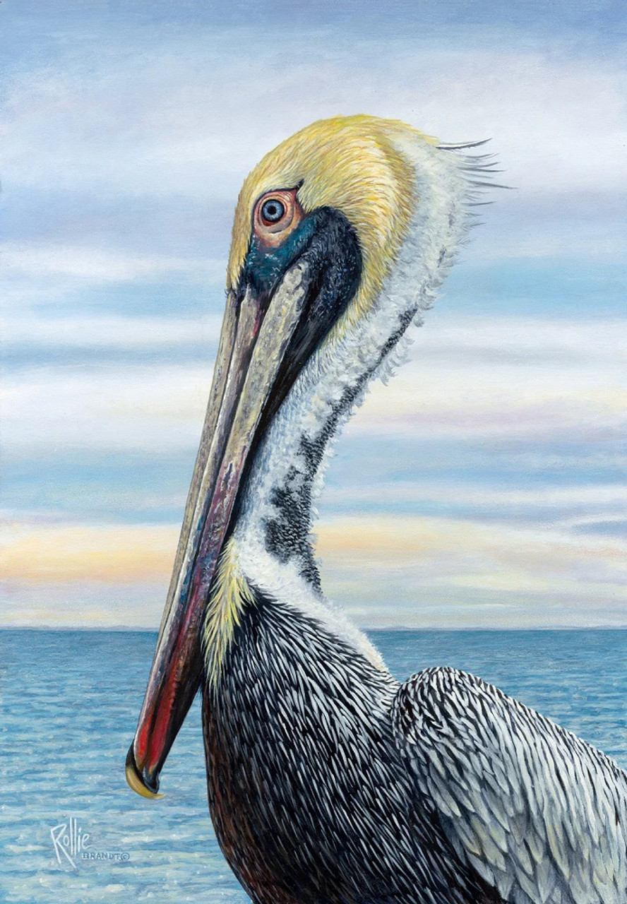 Big Bill Brown Pelican Original Acrylic Painting on Canvas by Rollie Brandt