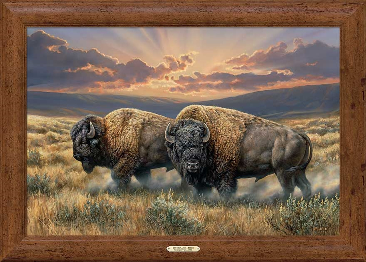 Dusty Plains Bison Framed Gallery Canvas by Rosemary Millette