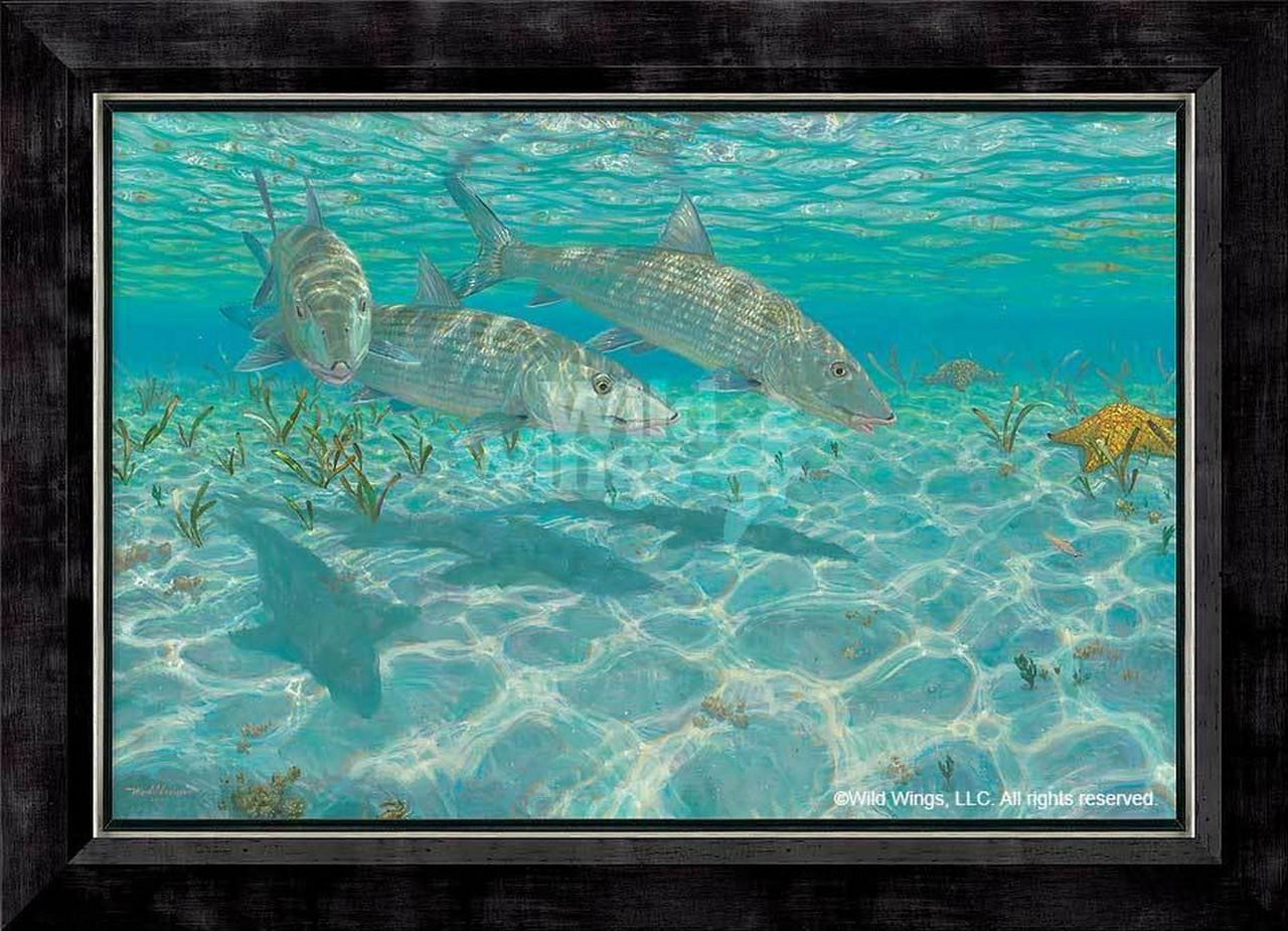 Ghosts Bonefish Limited Edition Canvas by Mark A Susinno 