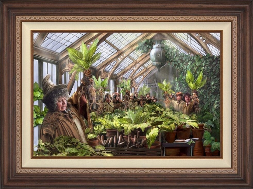 Step into the magical world of Hogwarts with the Harry Potter Hogwarts Greenhouse limited edition canvas