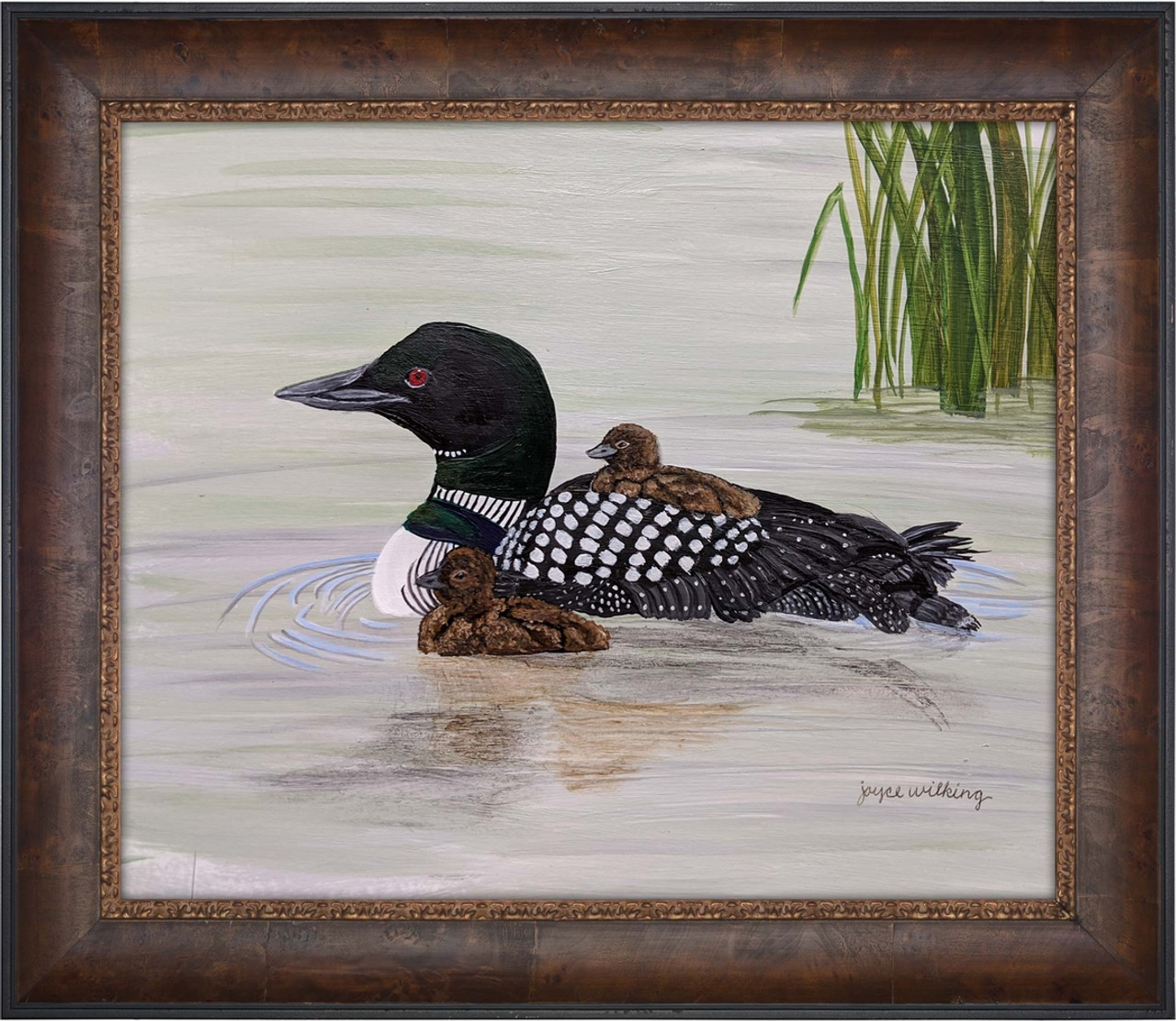 Loon with Baby on Back Swimming Master Artisan Canvas by Joyce Wilking