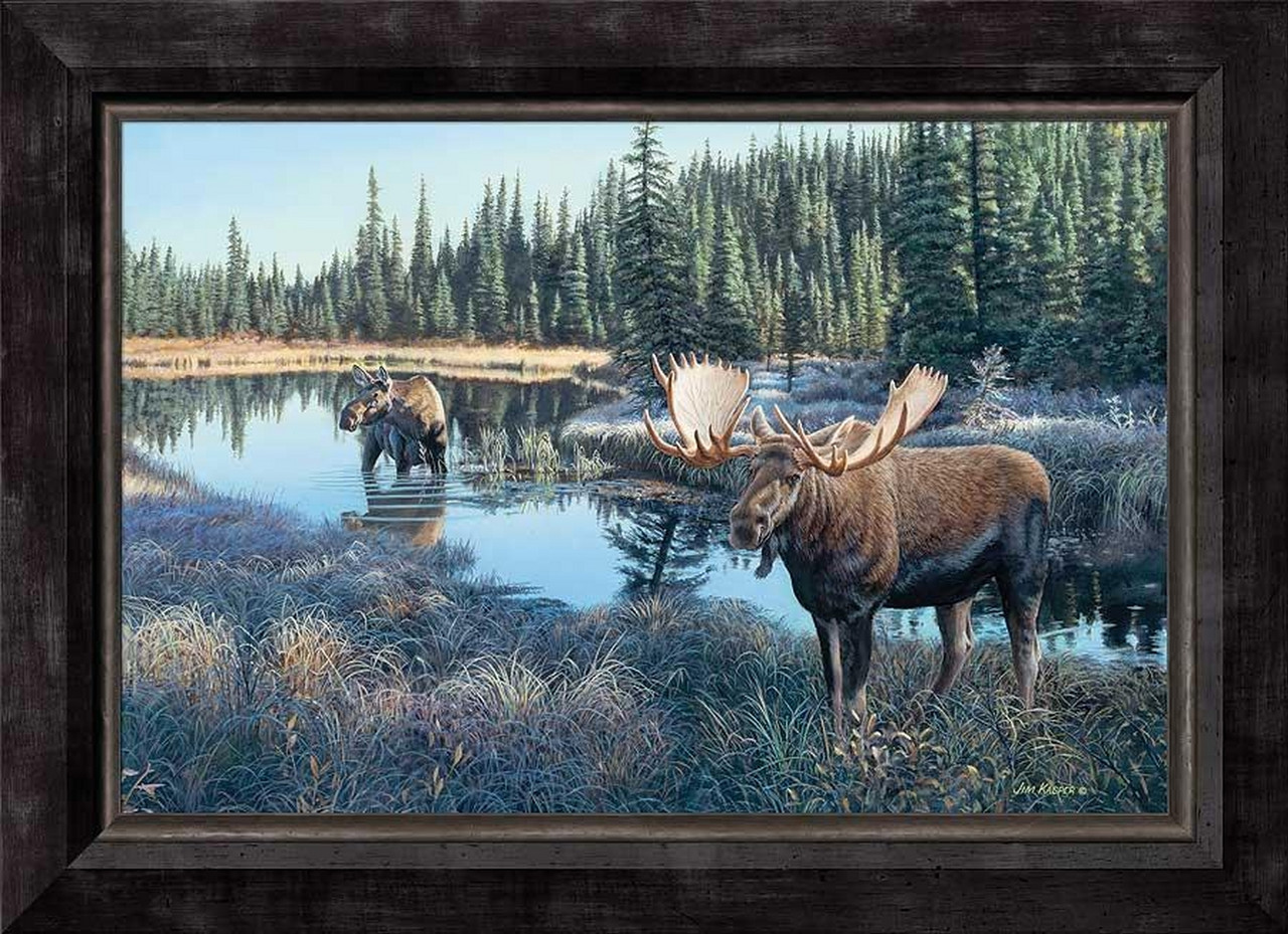 Display Beauty of the Wild with the Now Showing Moose Limited Edition Canvas By Jim Kasper 