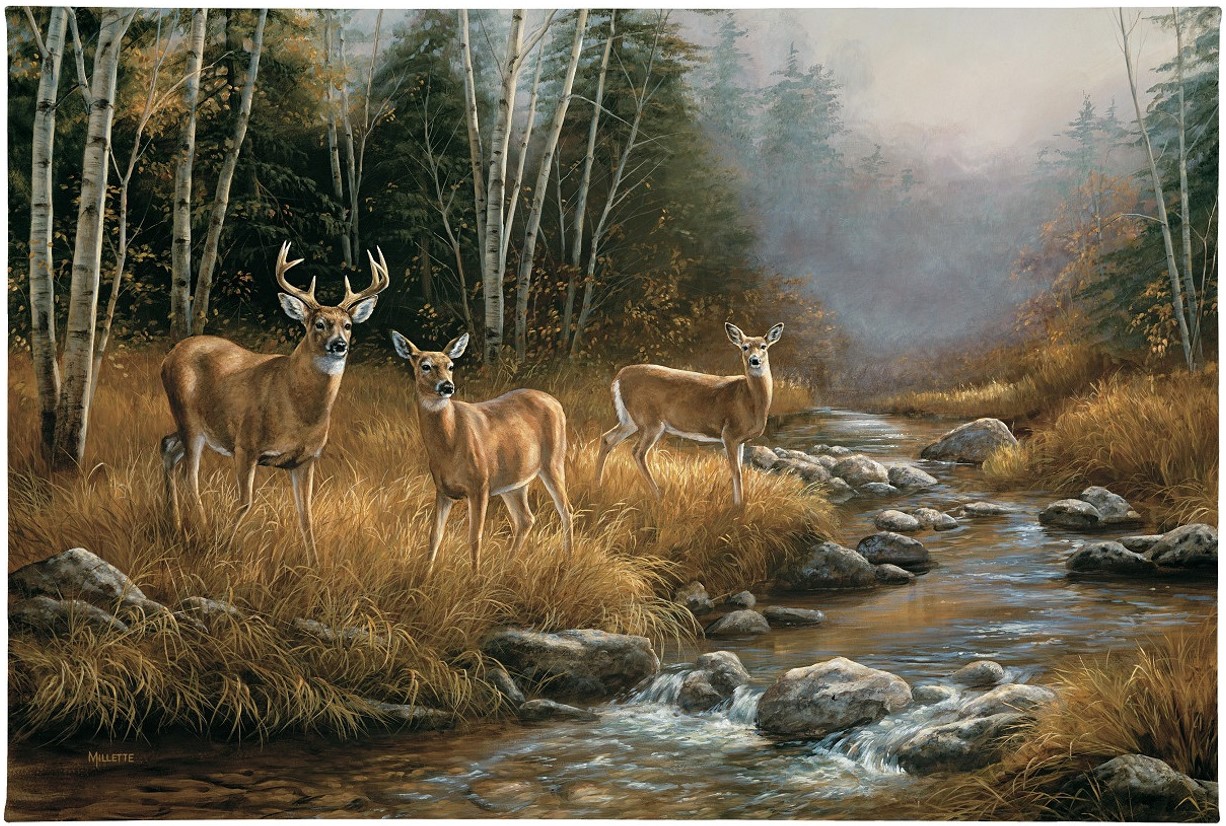 October Mist Whitetail Deer Gallery Wrapped Canvas  A Masterpiece by Rosemary Millette