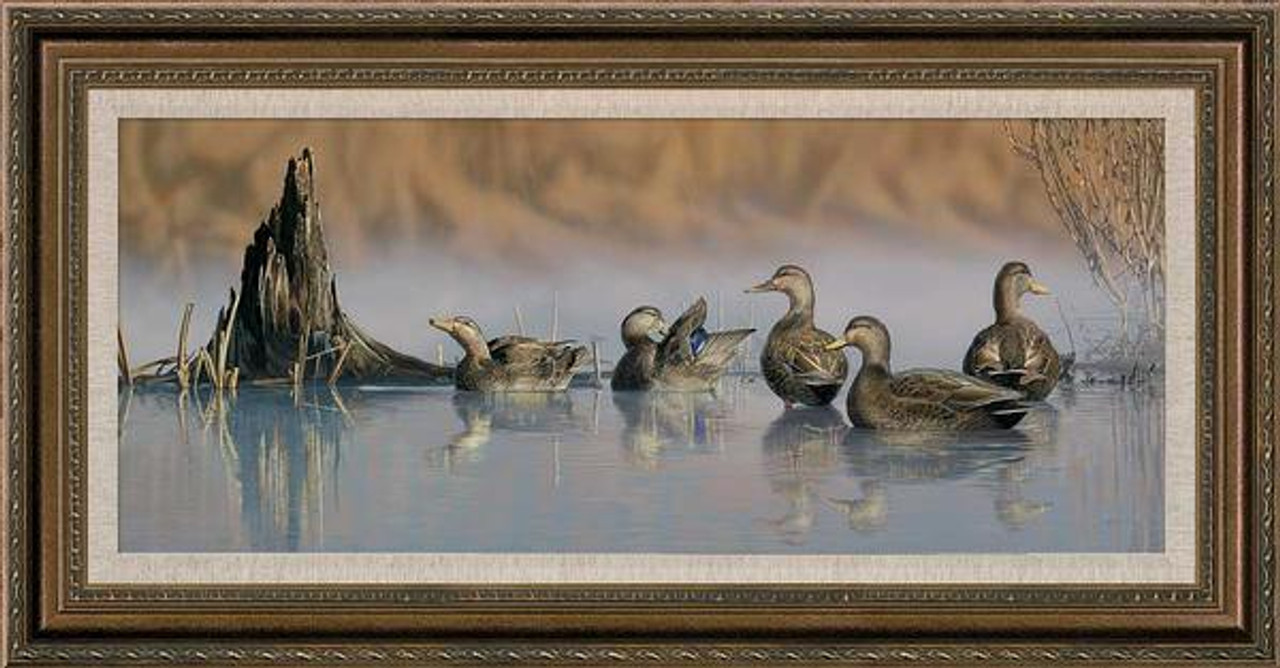 Spring Mist Black Ducks 450 signed and numbered on Canvas by Scot Storm