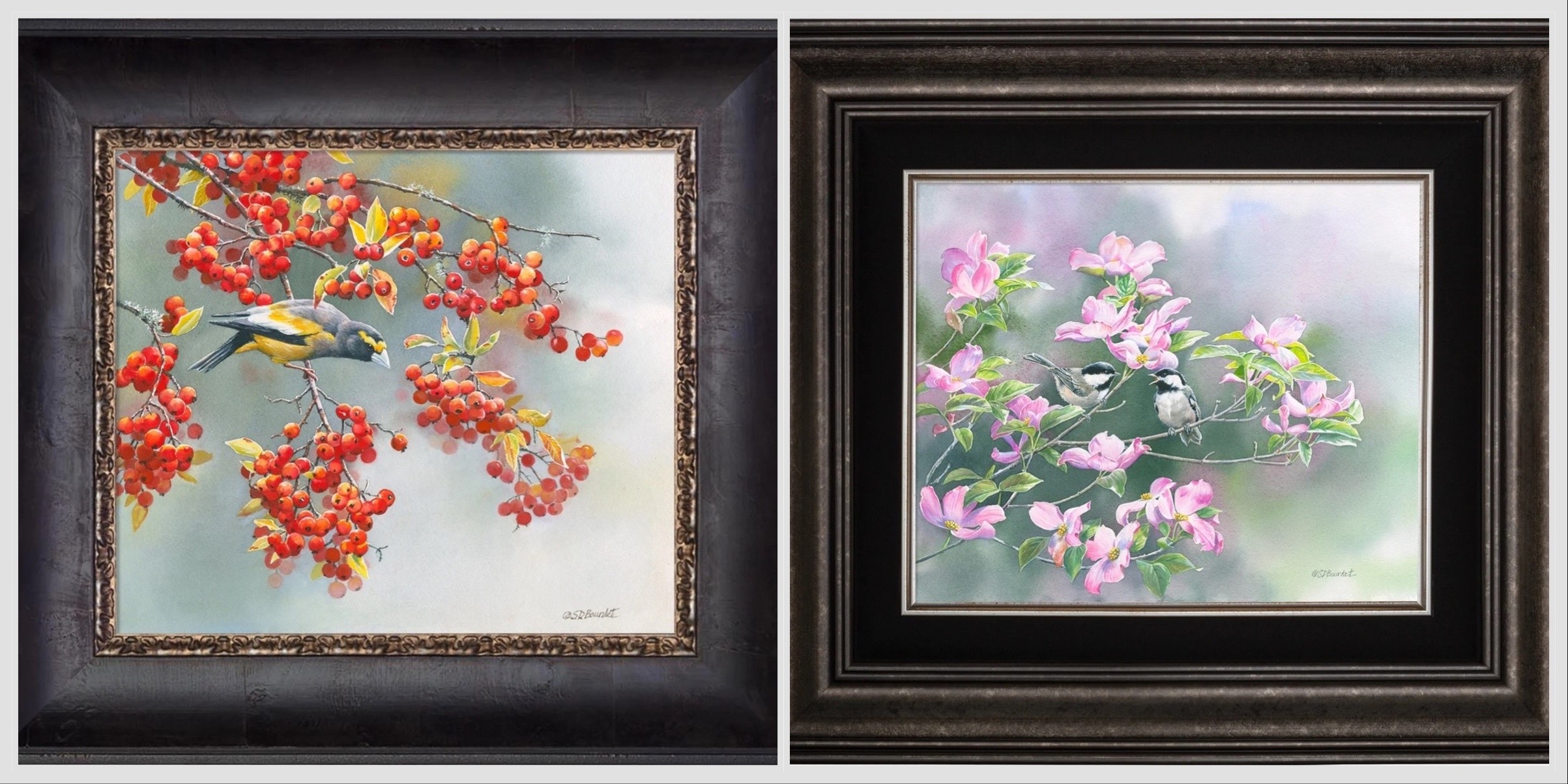 Framed Original Paintings on Canvas by Susan Bourdet