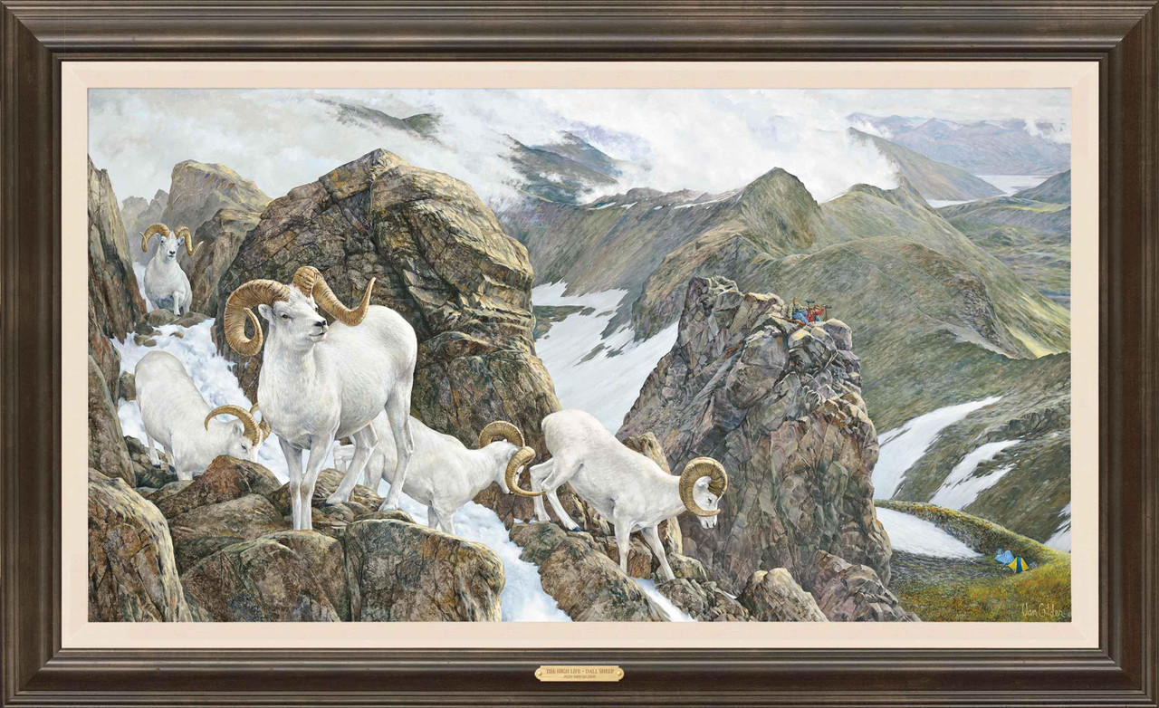 The High Life Dall Sheep Limited Edition Canvas by Ron Van Gilder