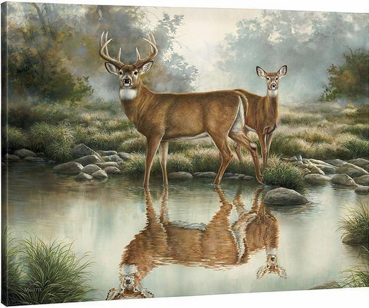 Elevate Your Indoor Space with the Tranquil Waters Whitetail Deer Gallery Wrapped Canvas By Rosemary Millette